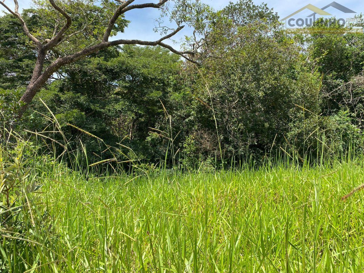 WhatsApp Image 2025-01-22 at 10.28.08 (2).jpeg